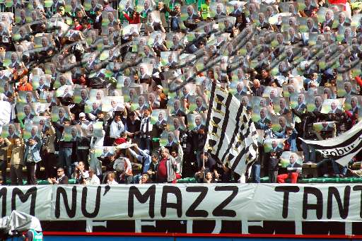 Foto #19